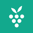 Favicon of Berrycast