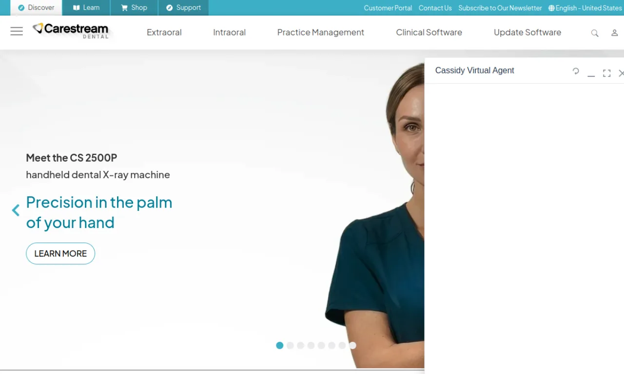 Screenshot of Softdent website