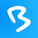 Favicon of BigMarker