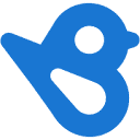 Favicon of Birdeye (local)