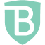 Favicon of BrandShield