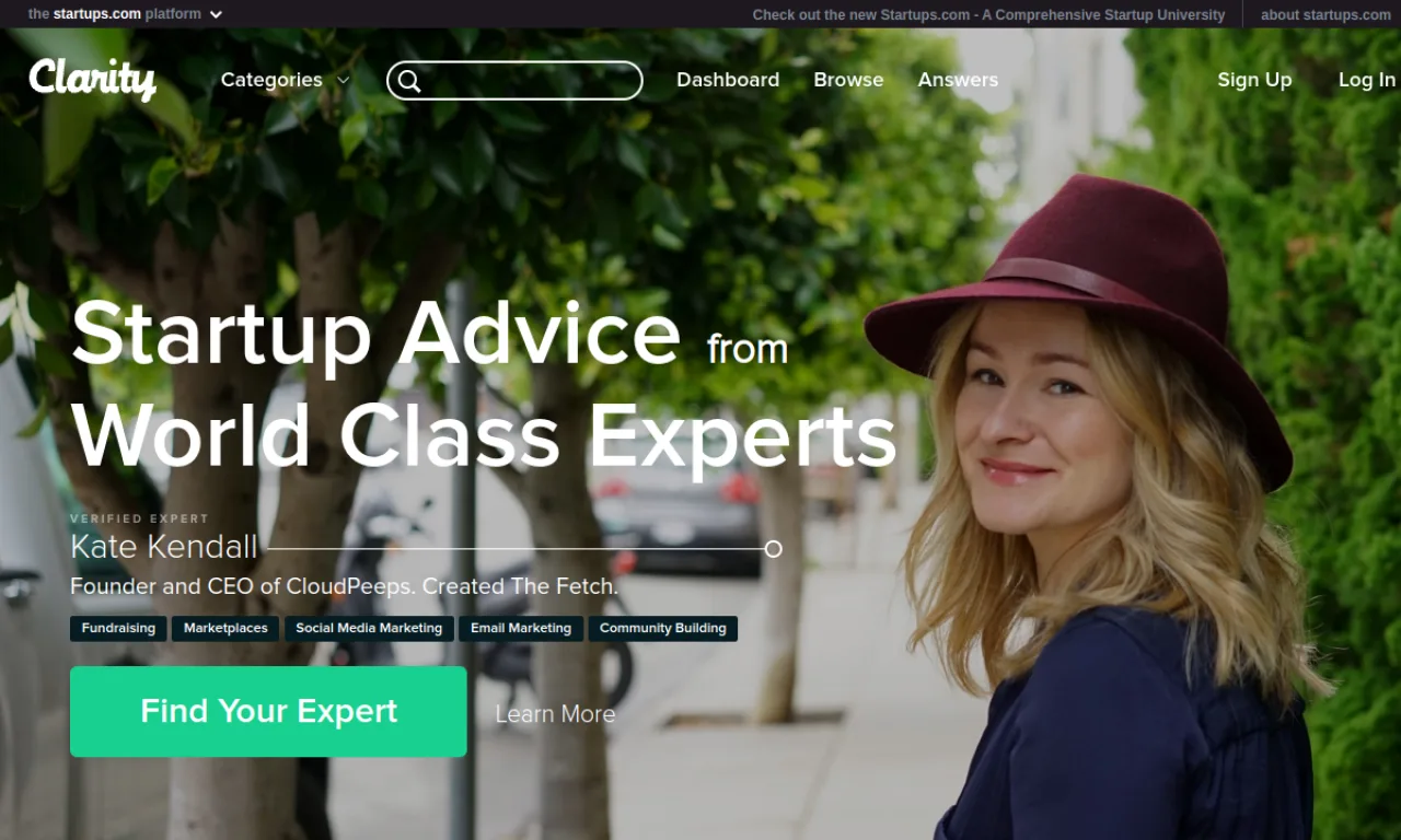 Screenshot of Clarity website