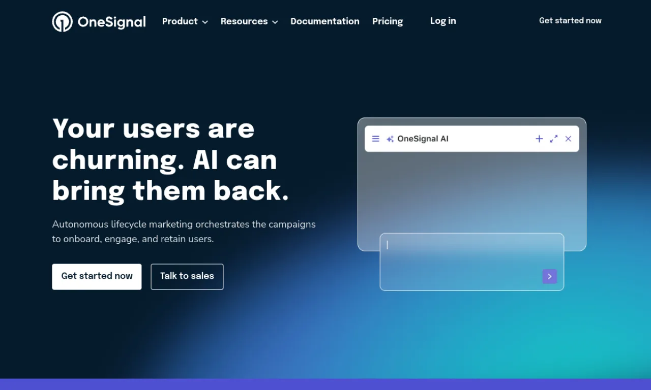 Screenshot of OneSignal website
