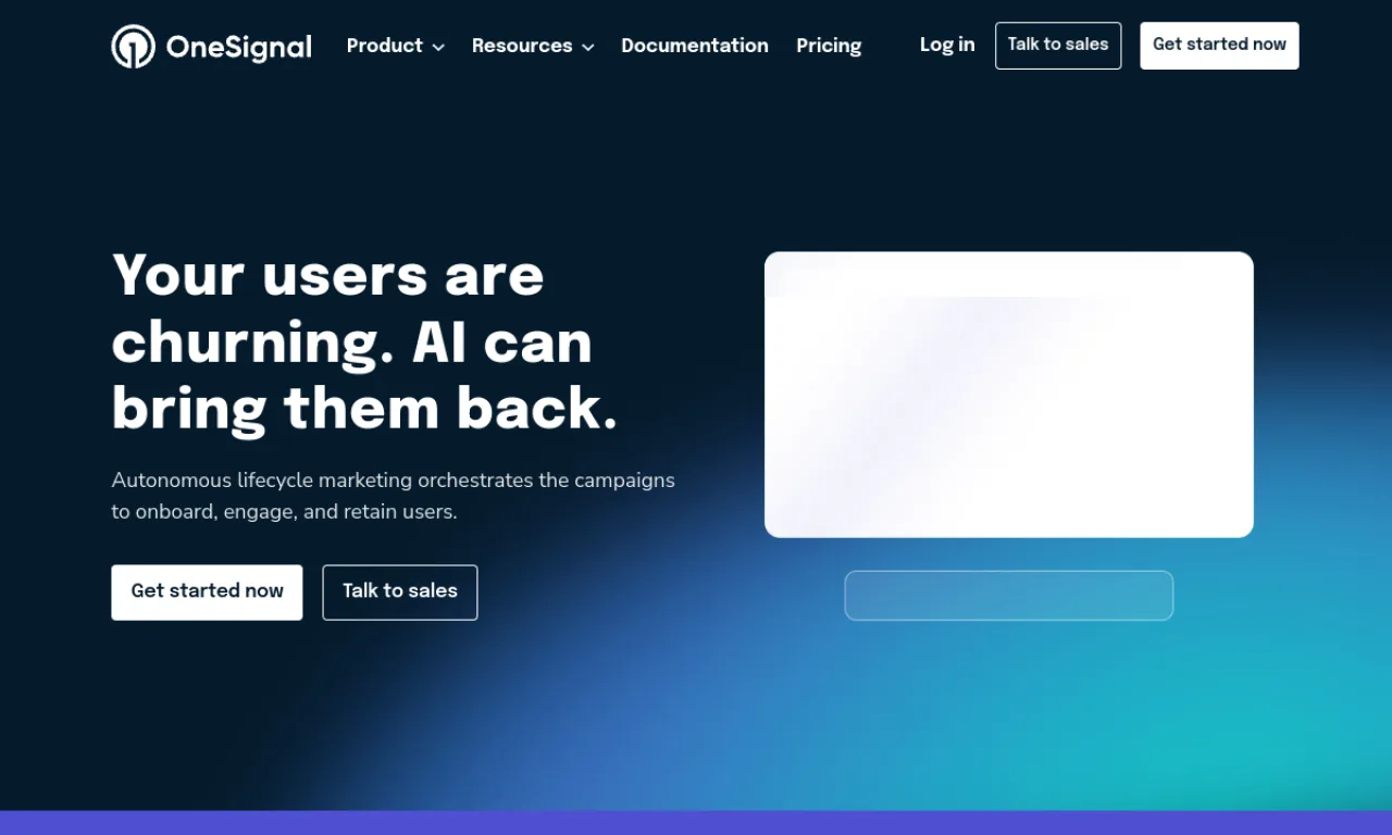 Screenshot of OneSignal website