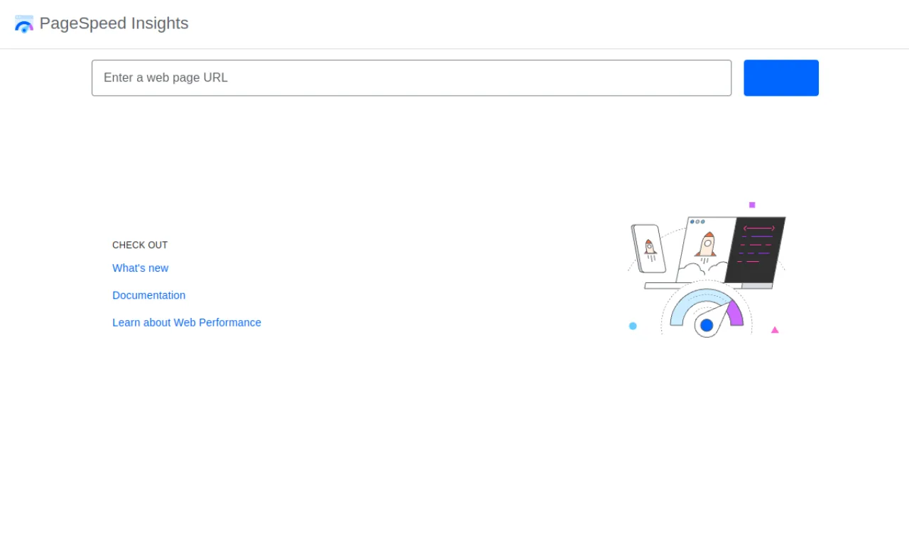 Screenshot of PageSpeed Insights website