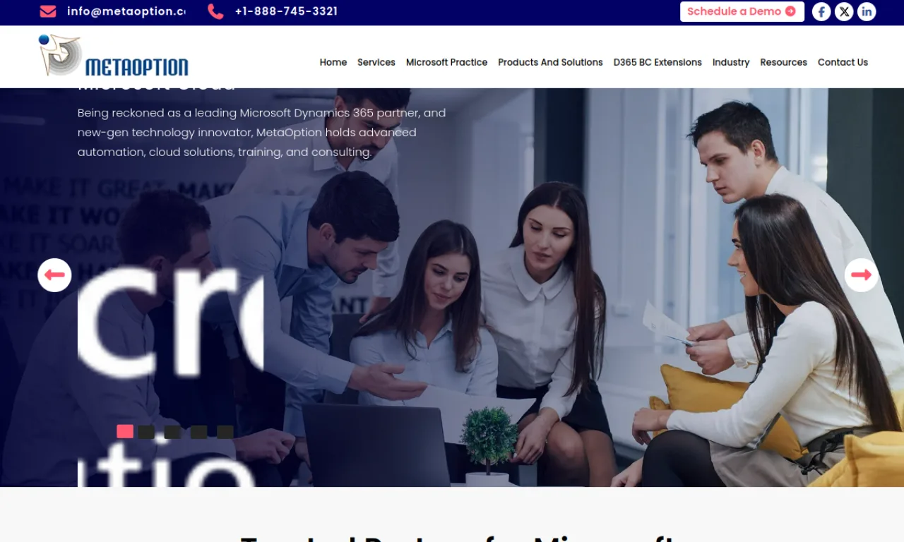 Screenshot of MetaOption website