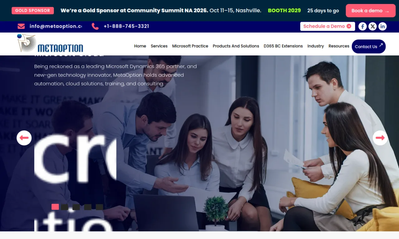 Screenshot of MetaOption website