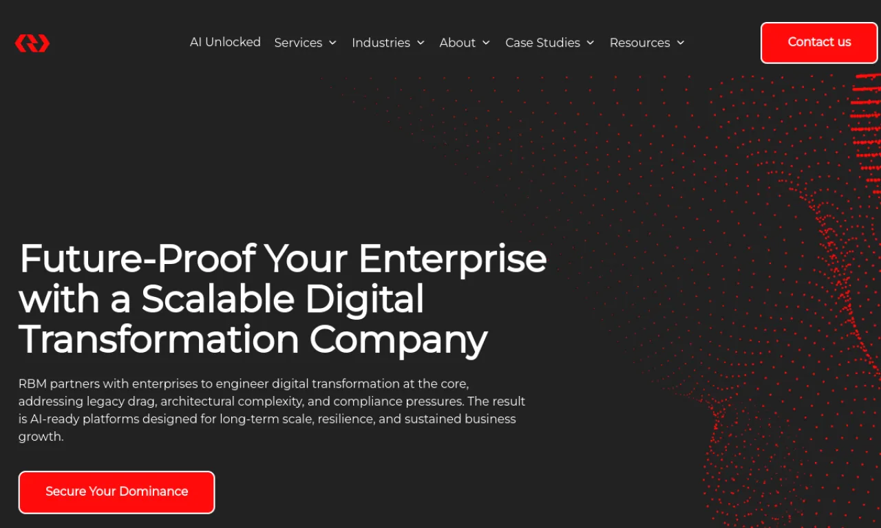 Screenshot of Rbmsoft website
