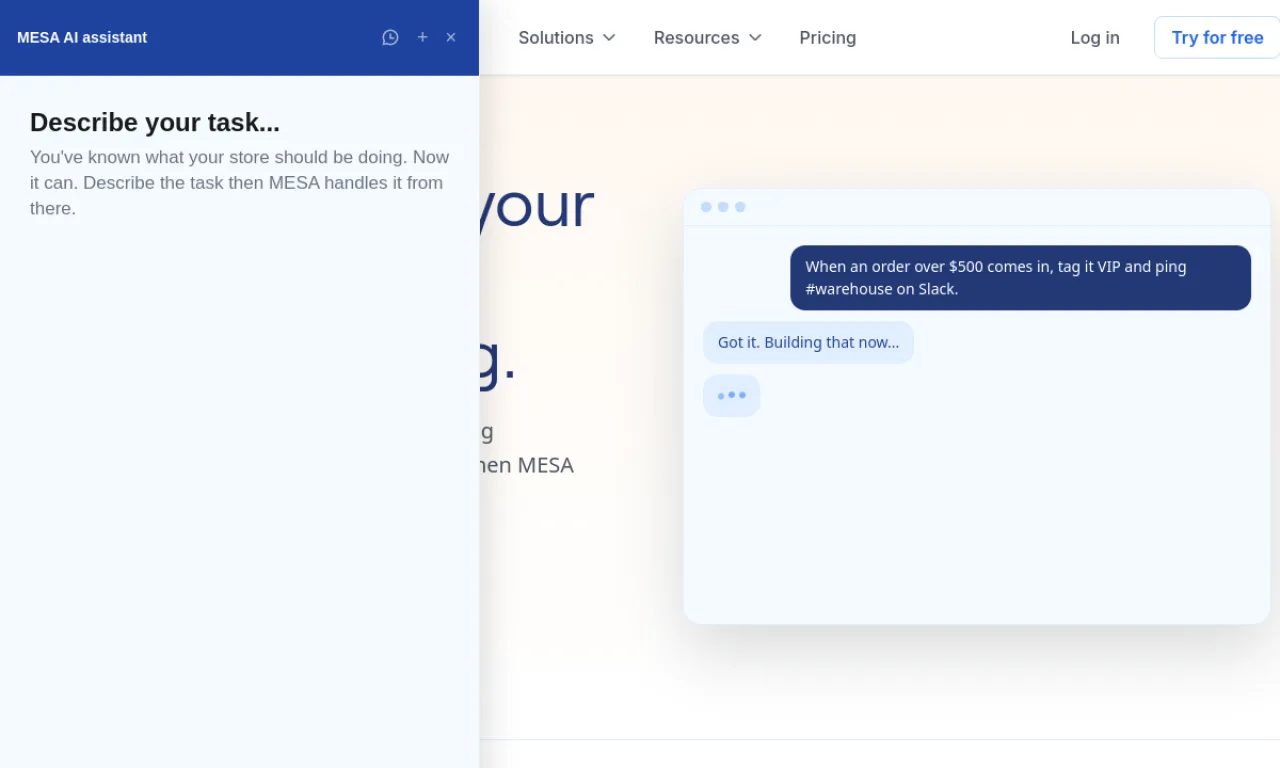 Screenshot of Mesa / Shopify Flow website