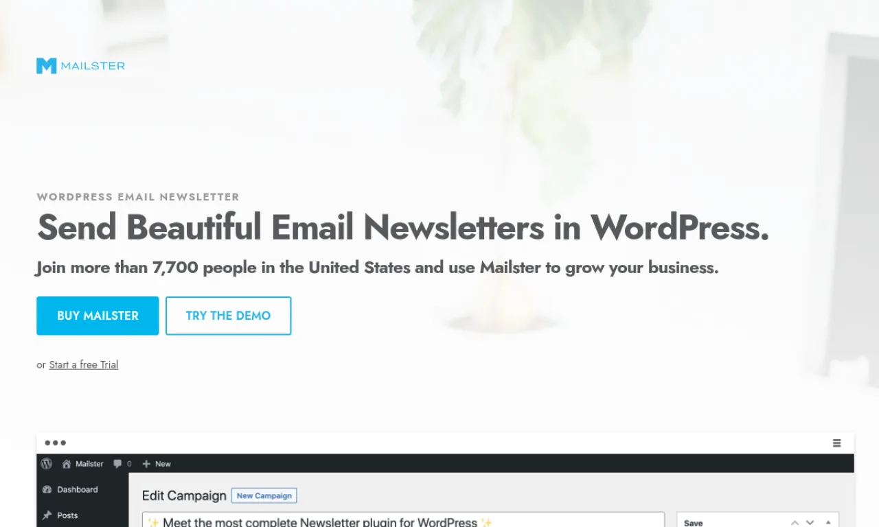 Screenshot of Mailster website