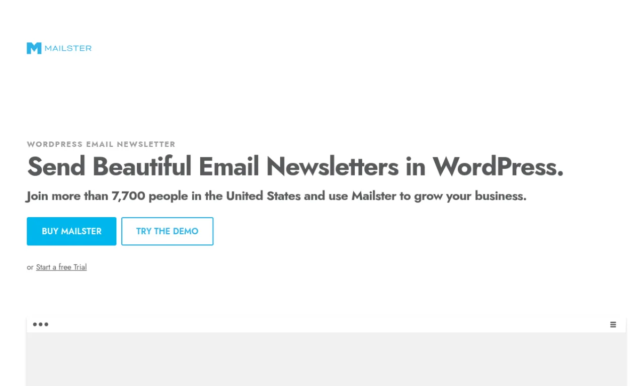Screenshot of Mailster website