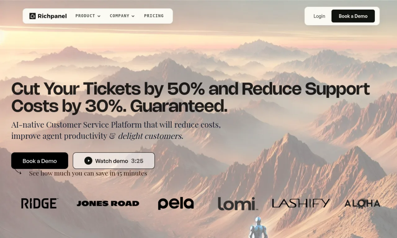 Screenshot of Richpanel website