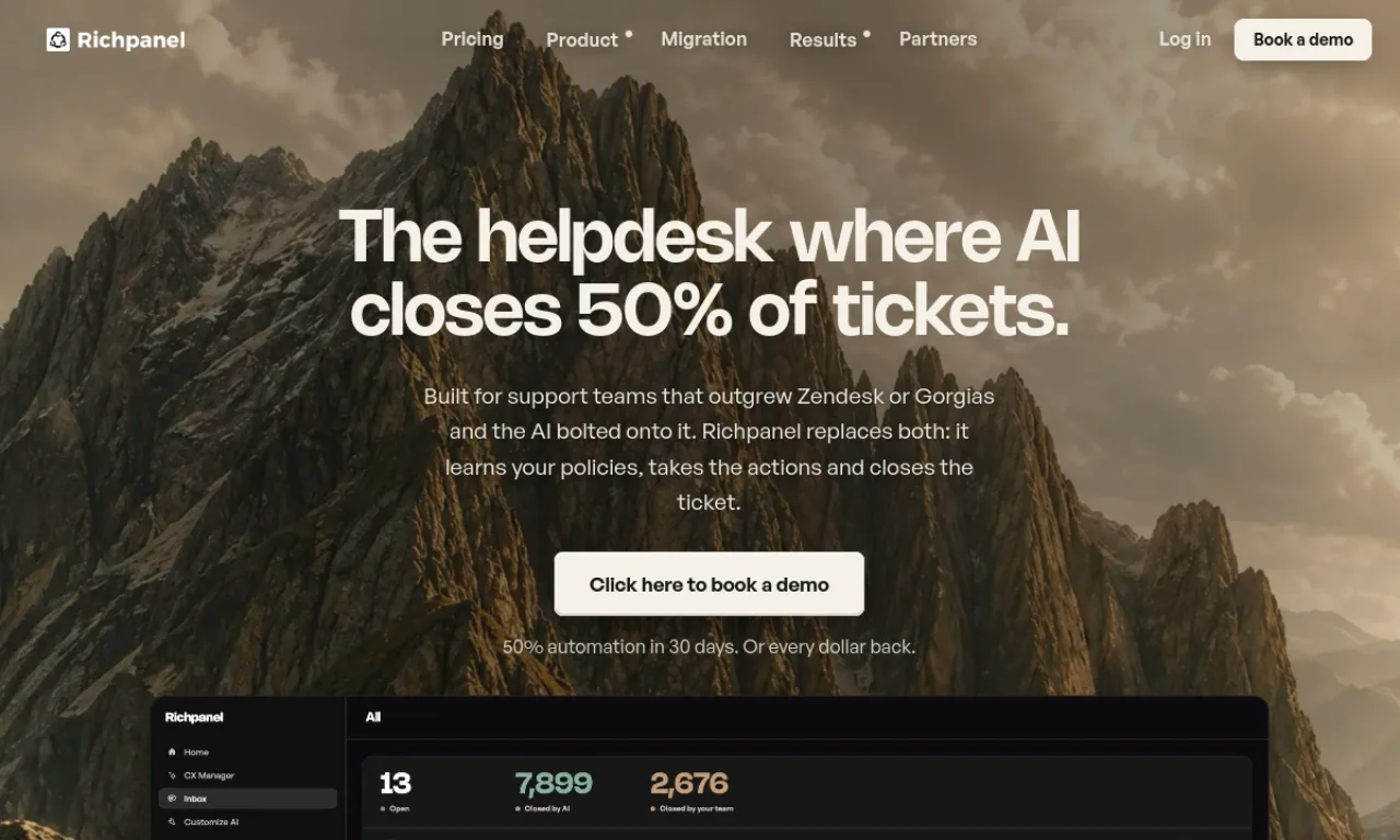 Screenshot of Richpanel website