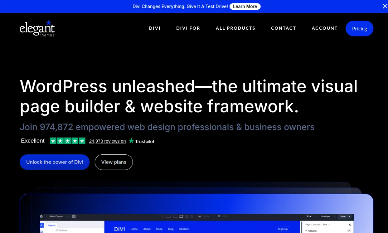 Screenshot of Divi (Elegant Themes) website