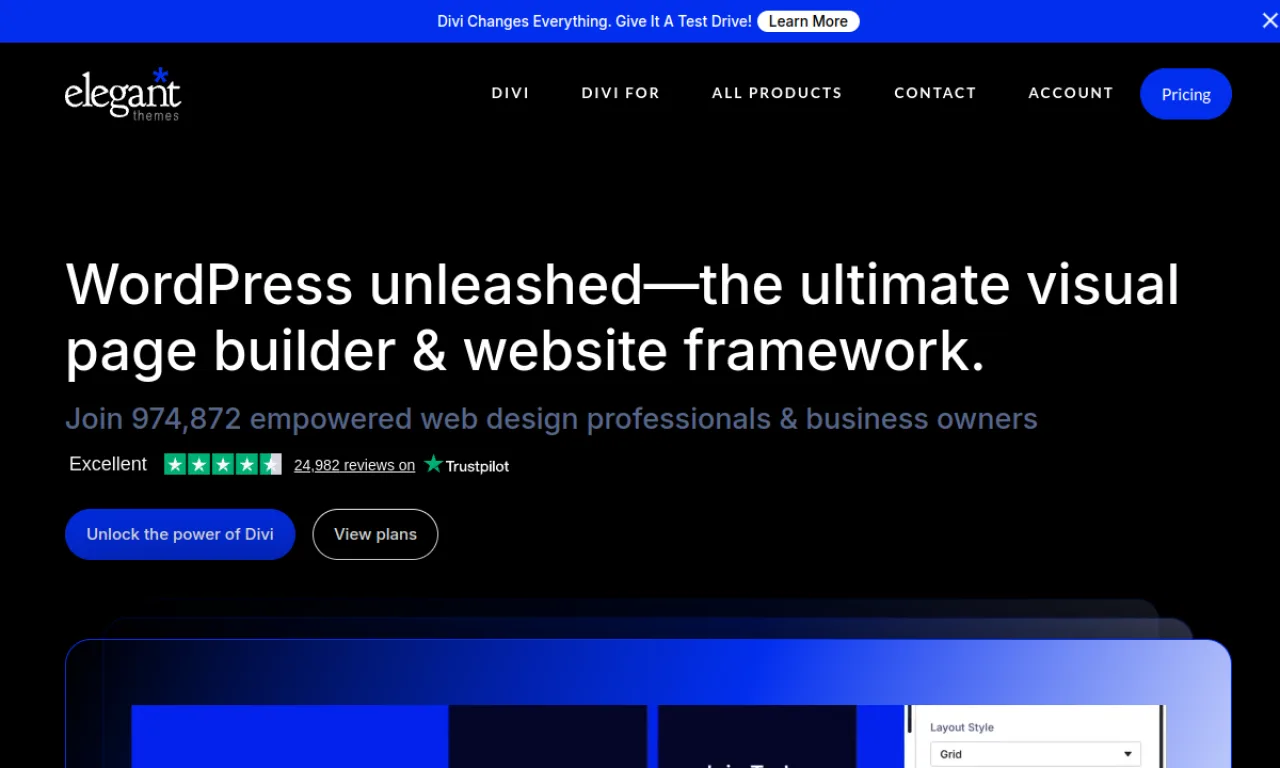 Screenshot of Divi (Elegant Themes) website