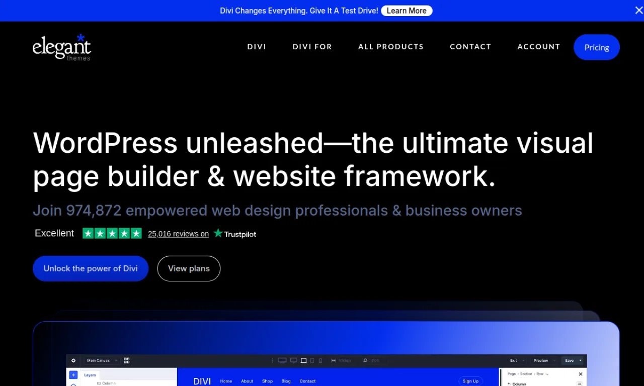 Screenshot of Divi (Elegant Themes) website