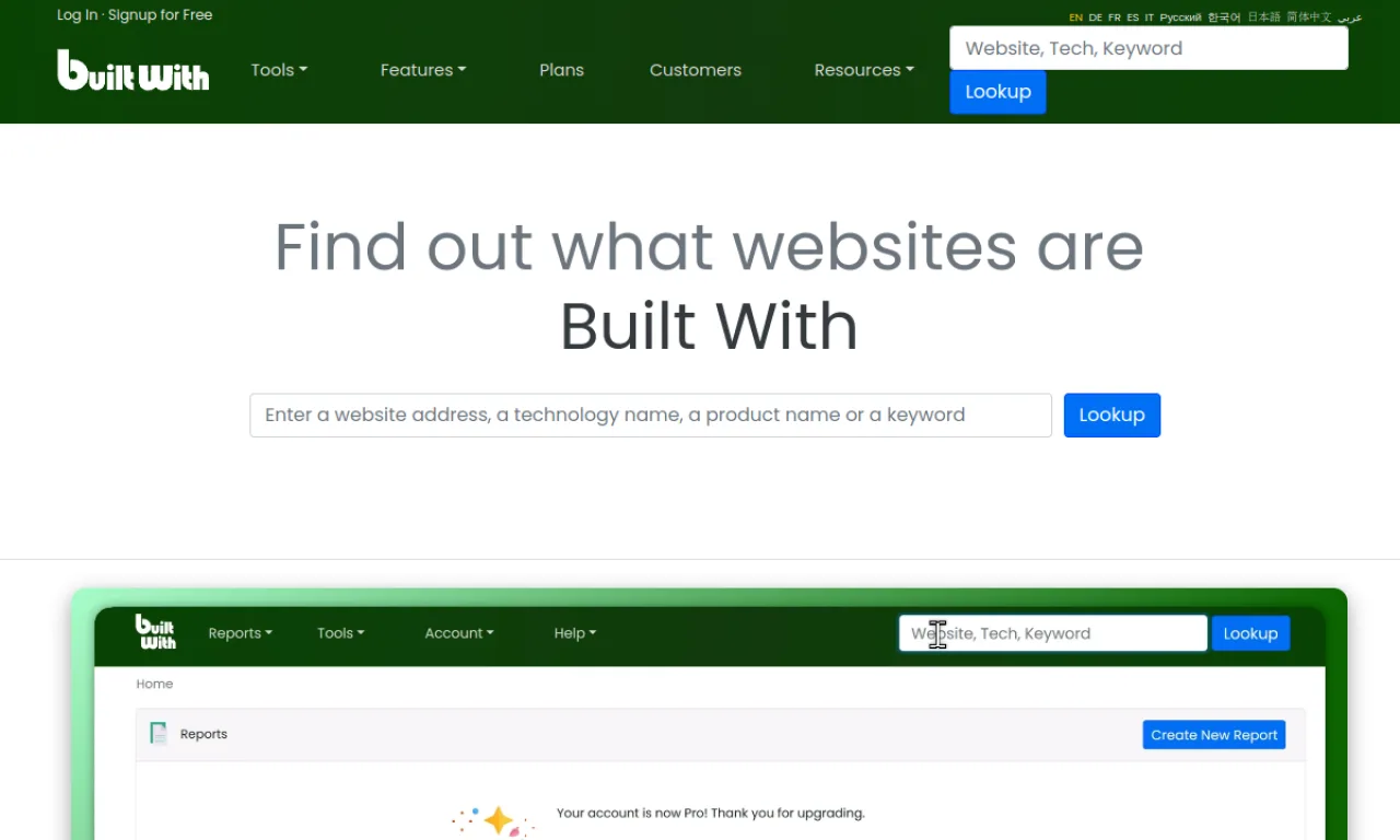Screenshot of BuiltWith website