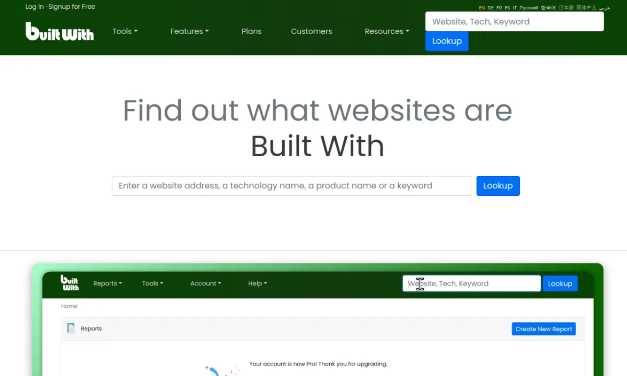 Screenshot of BuiltWith website