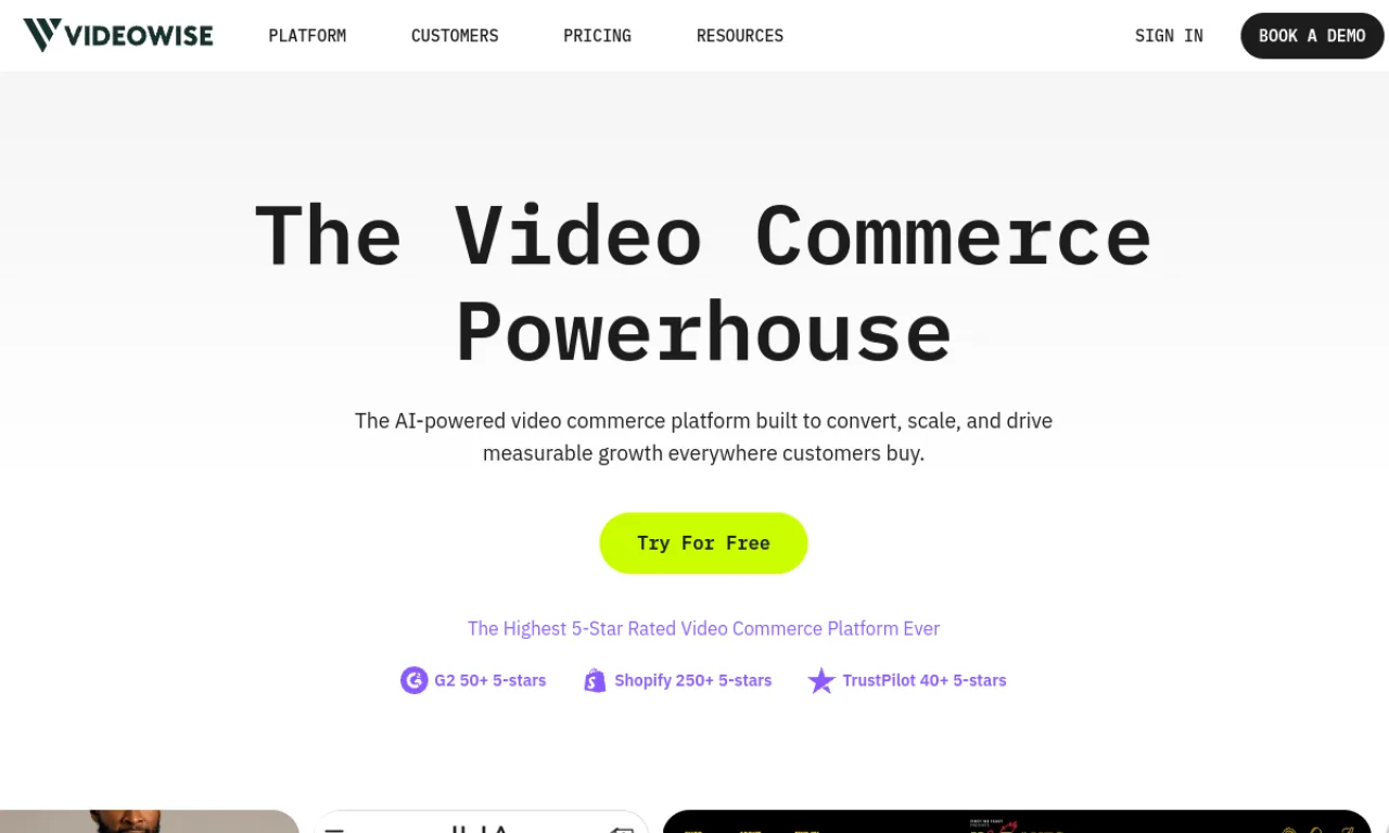 Screenshot of Videowise website