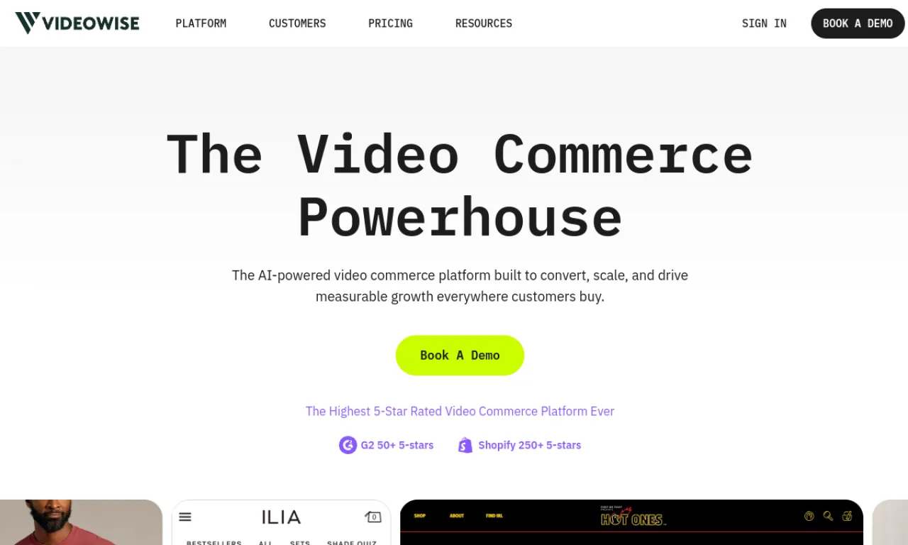 Screenshot of Videowise website