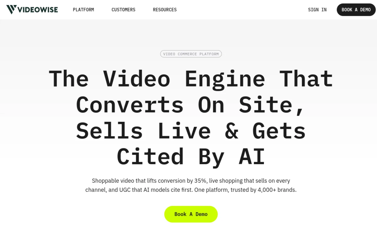 Screenshot of Videowise website