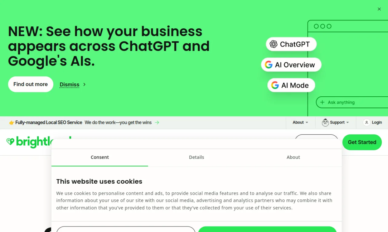 Screenshot of BrightLocal website