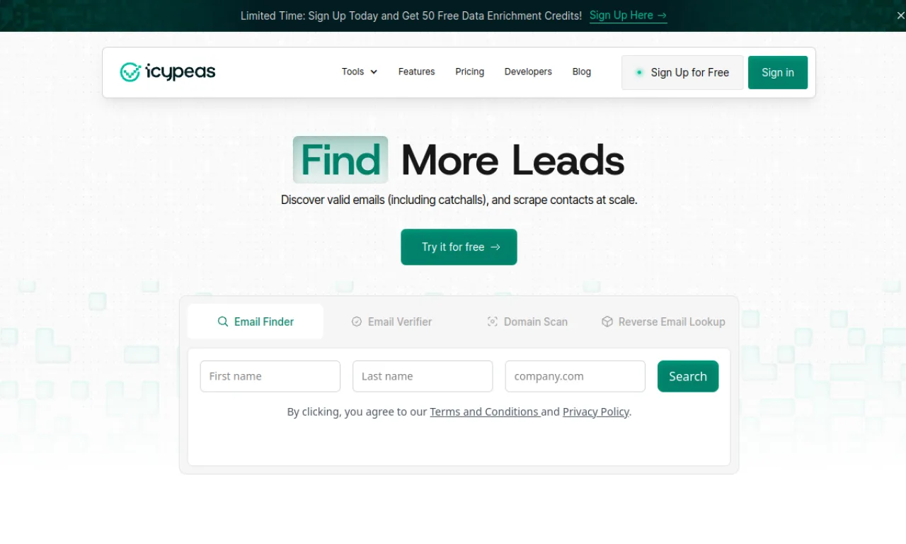 Screenshot of Icypeas website