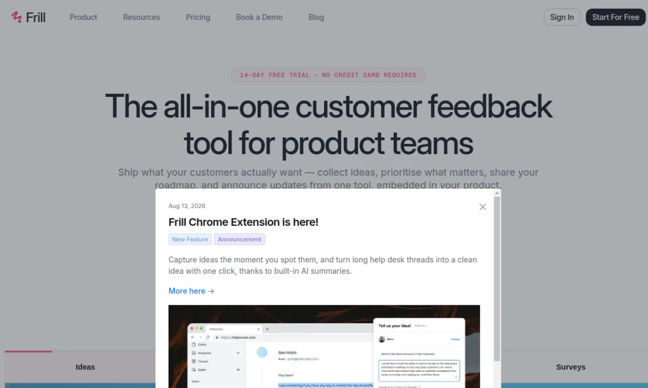 Screenshot of Frill website