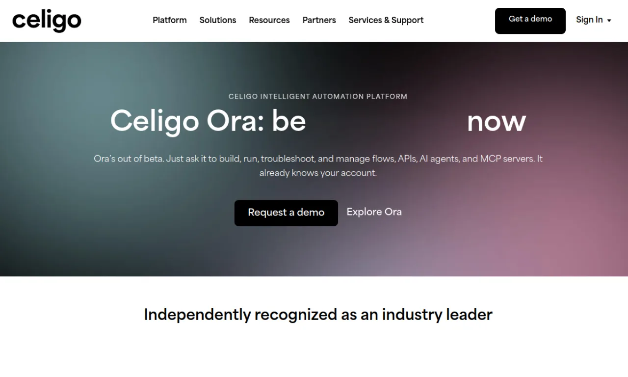 Screenshot of Celigo website