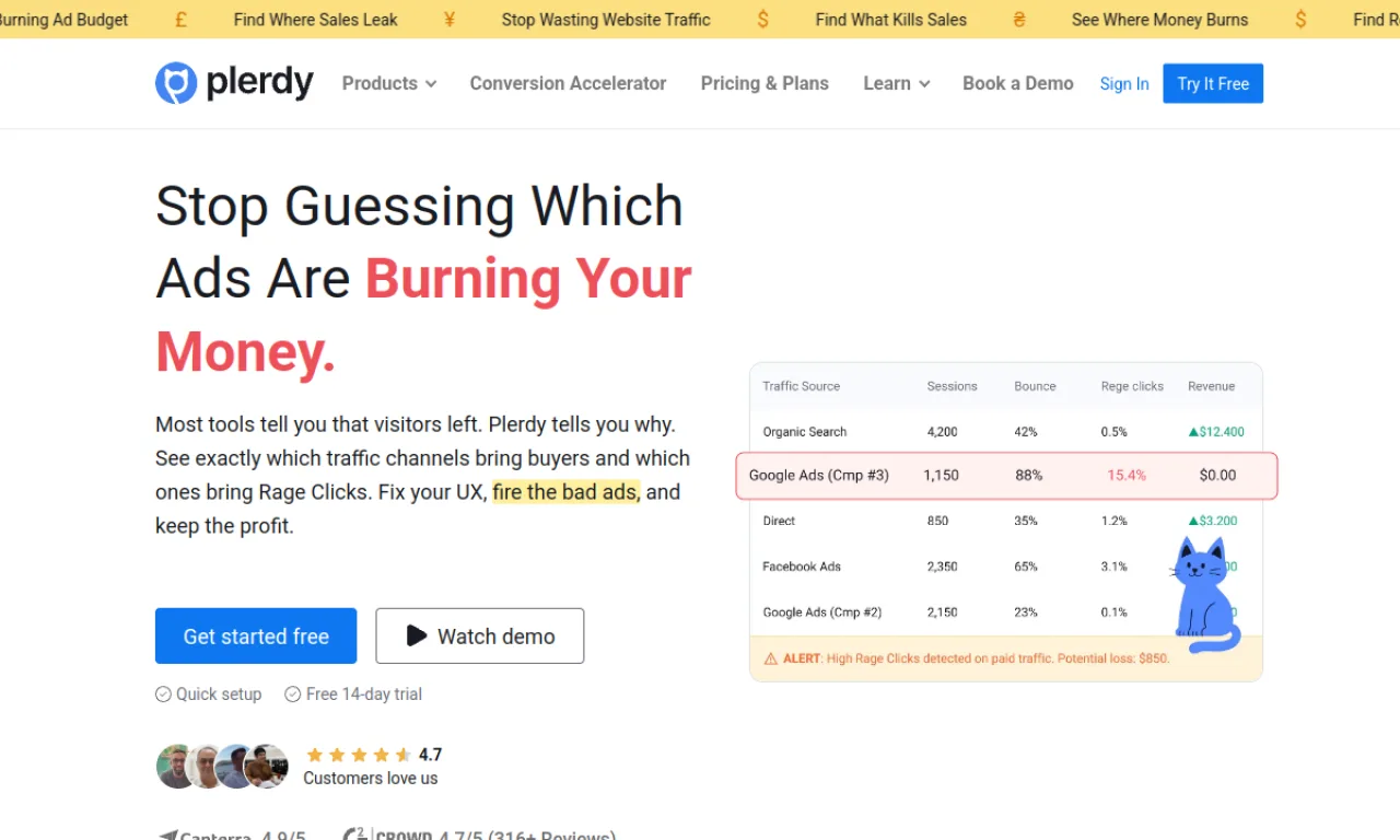 Screenshot of Plerdy website