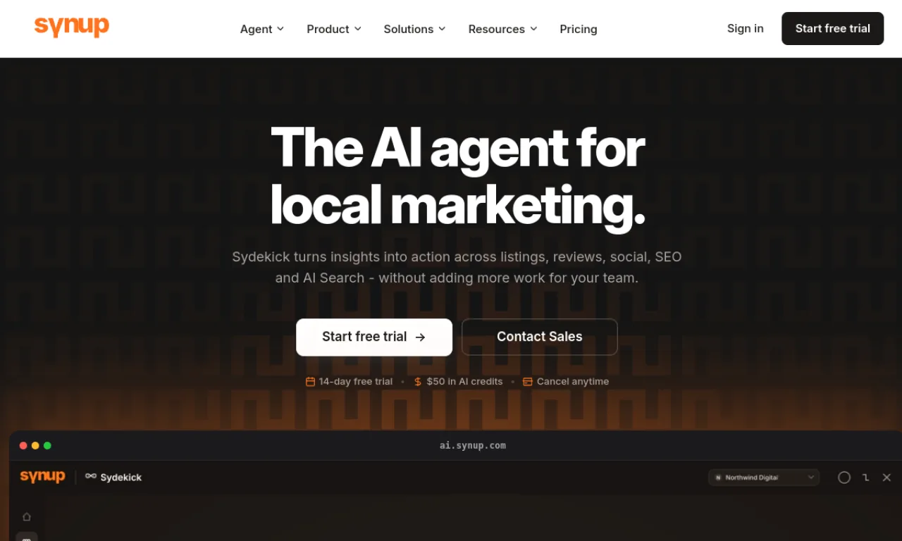 Screenshot of Synup website