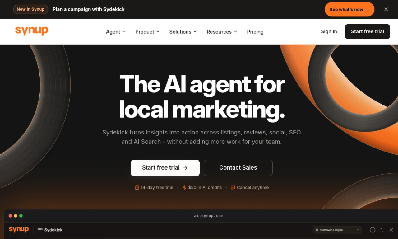 Screenshot of Synup website