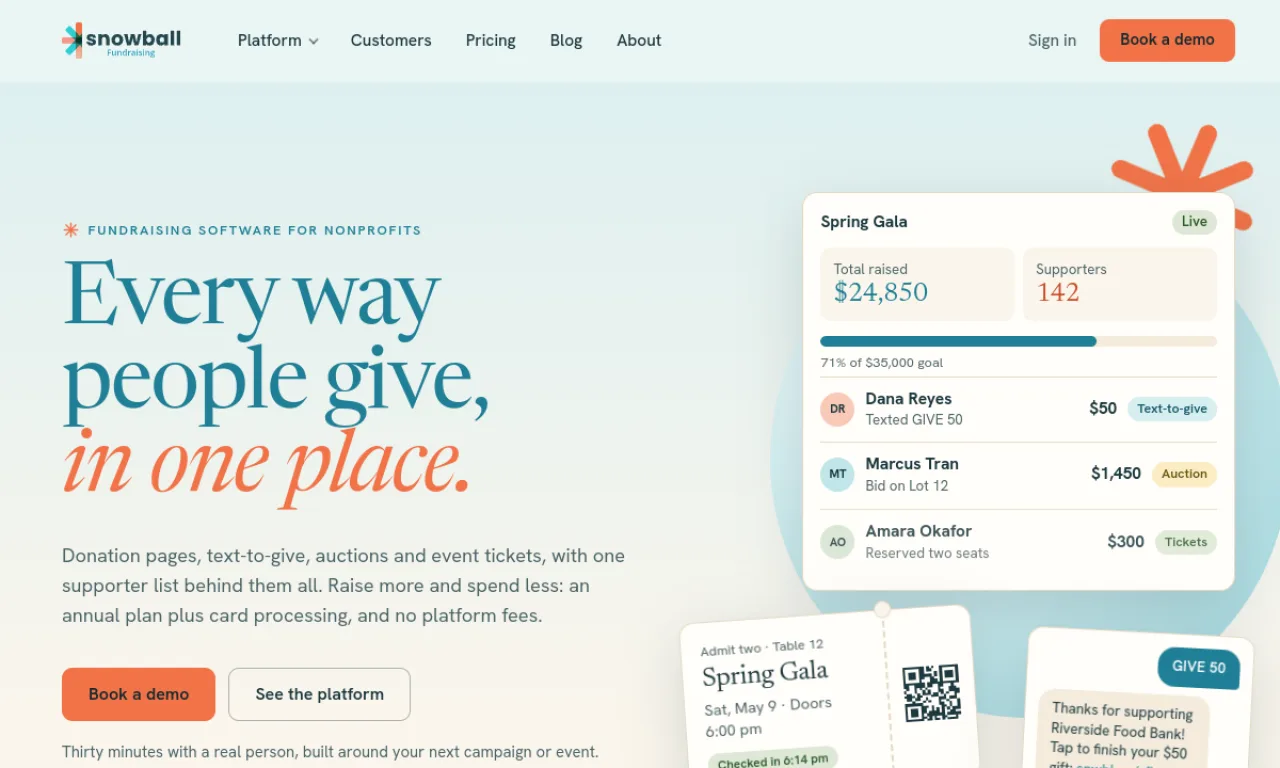 Screenshot of Snowball Fundraising website