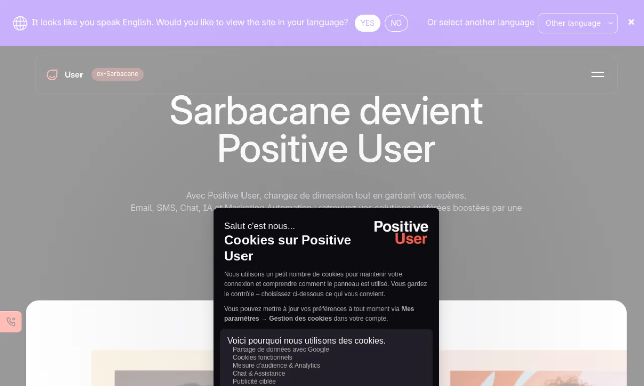 Screenshot of Sarbacane website