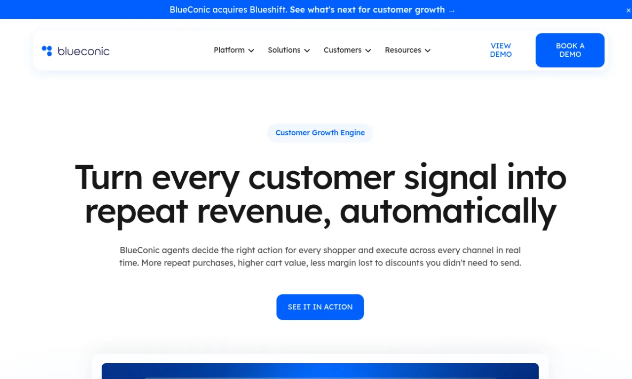 Screenshot of BlueConic website
