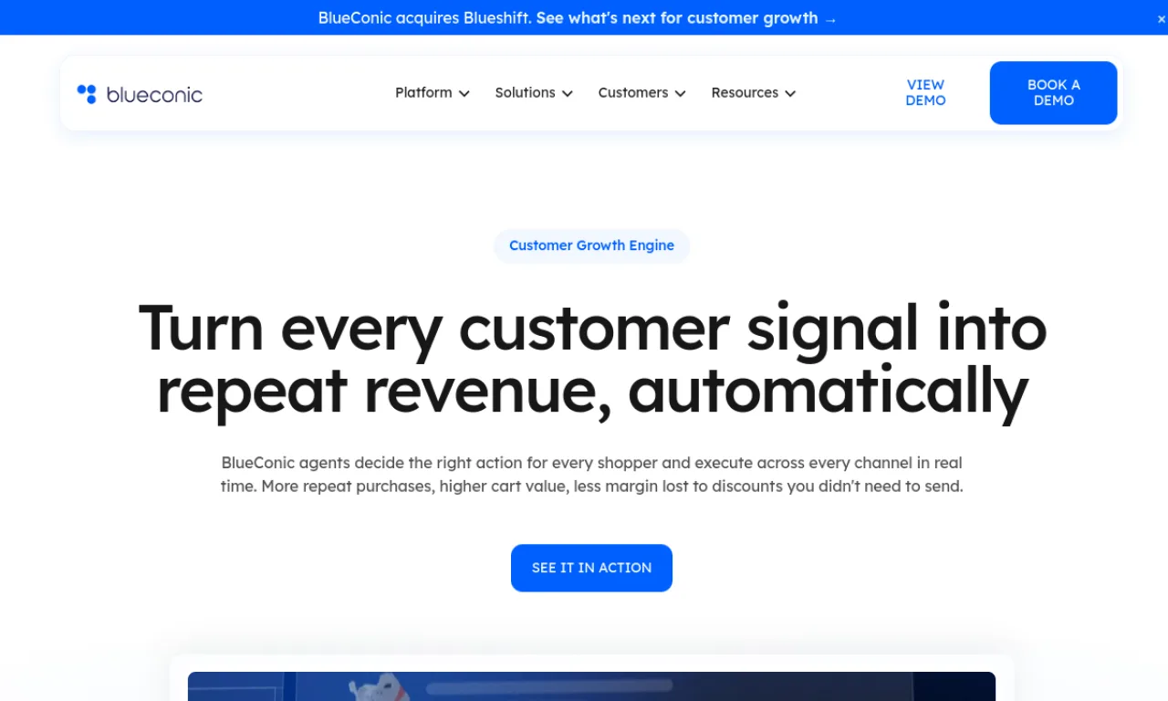 Screenshot of BlueConic website