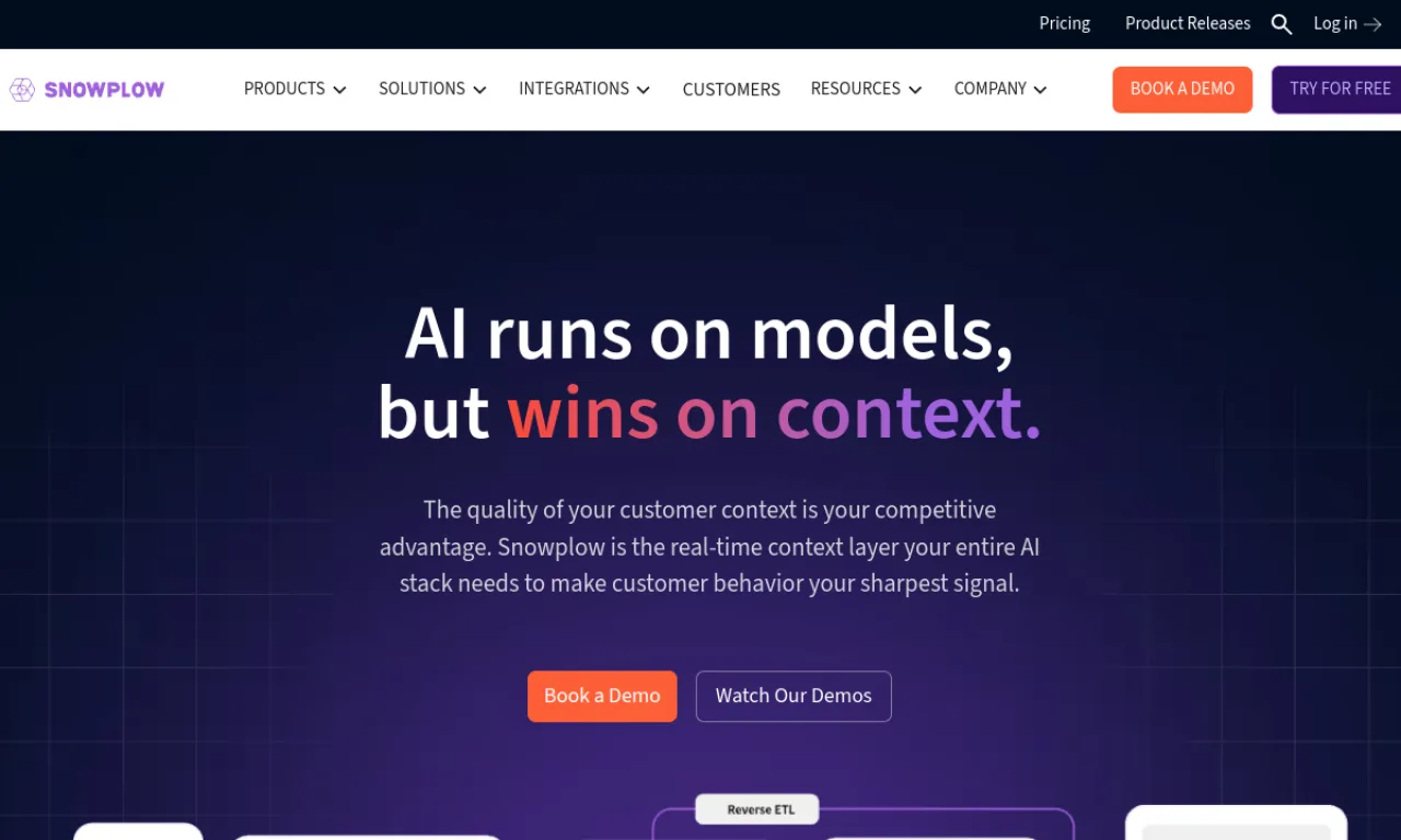 Screenshot of Snowplow website