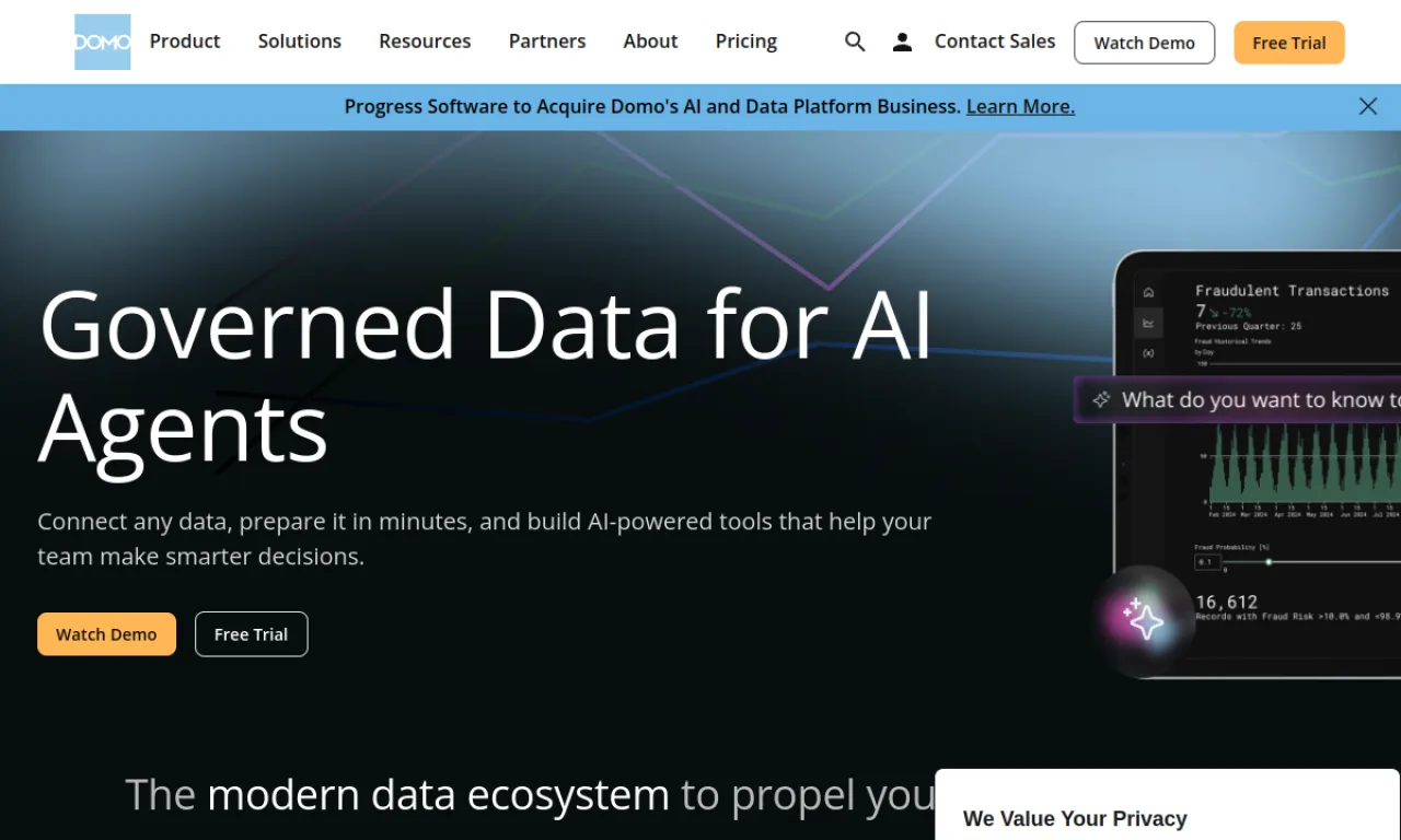 Screenshot of Domo website
