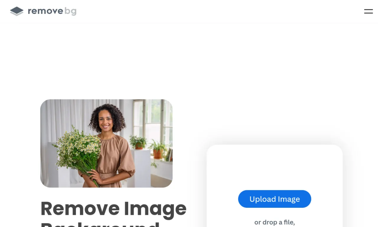 Screenshot of Remove.bg website