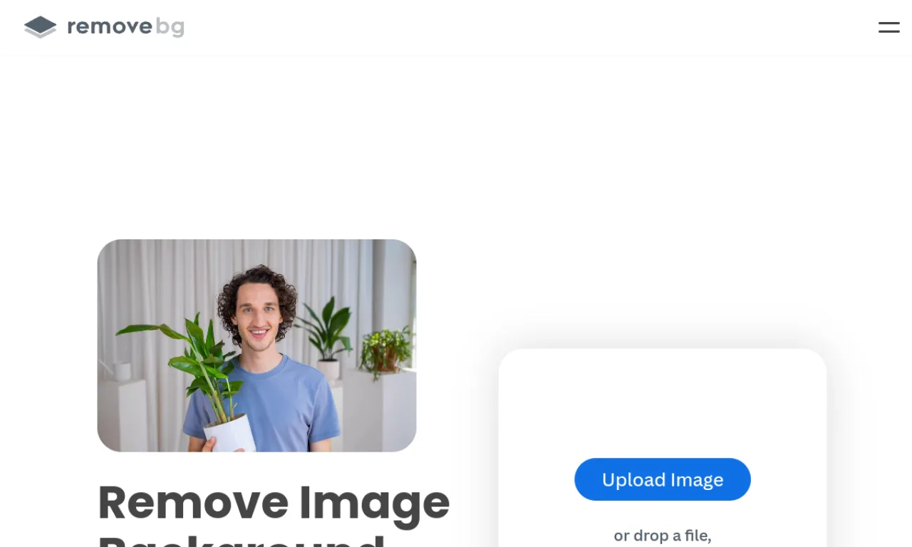 Screenshot of Remove.bg website
