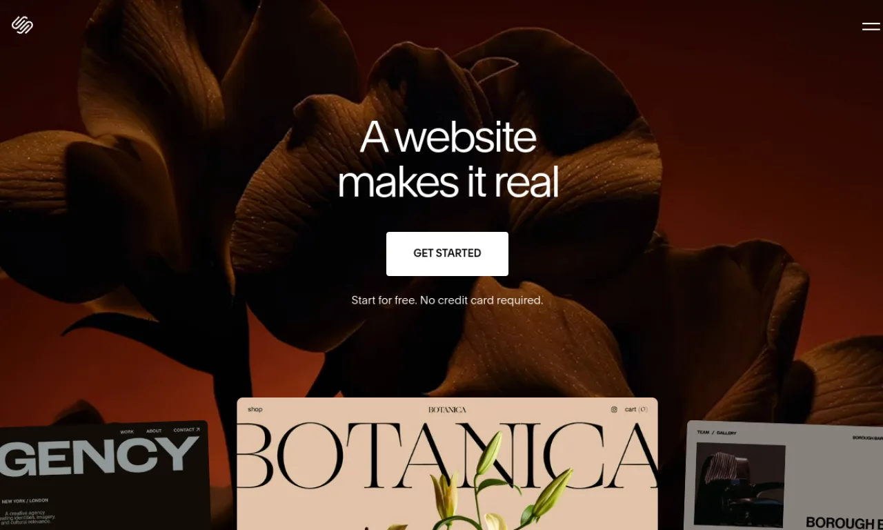 Screenshot of Squarespace website