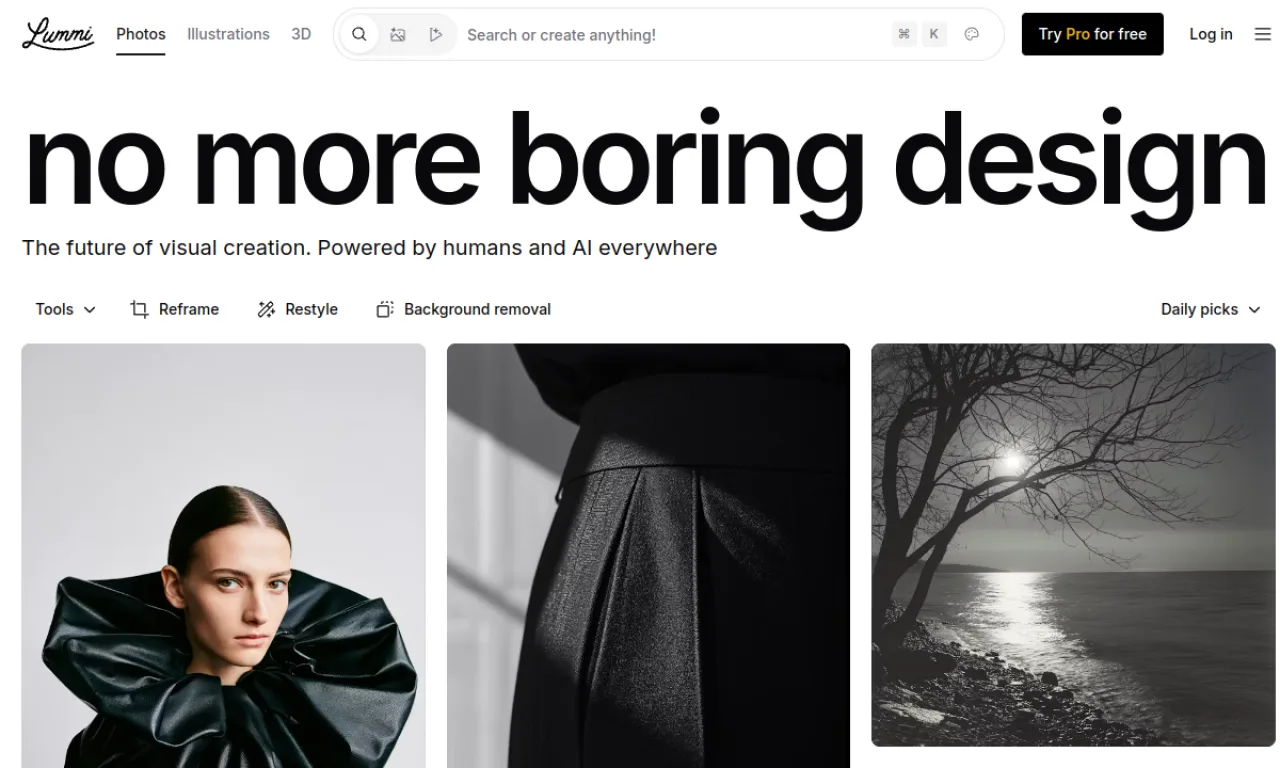 Screenshot of Designstripe / Lummi website
