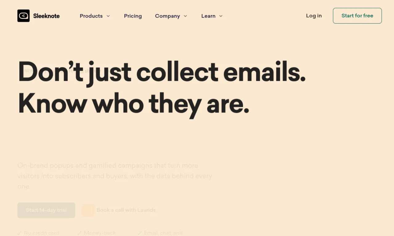 Screenshot of Sleeknote website