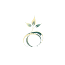 Favicon of Seedance