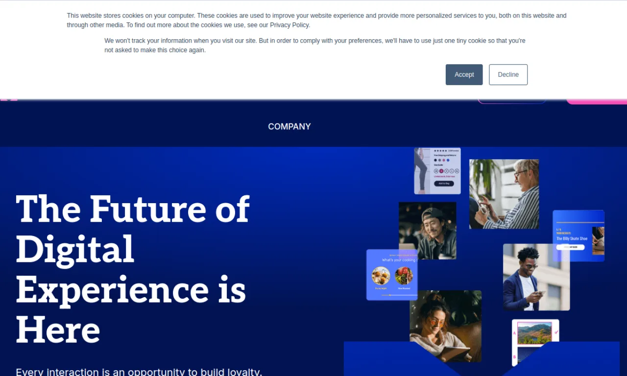 Screenshot of Monetate website