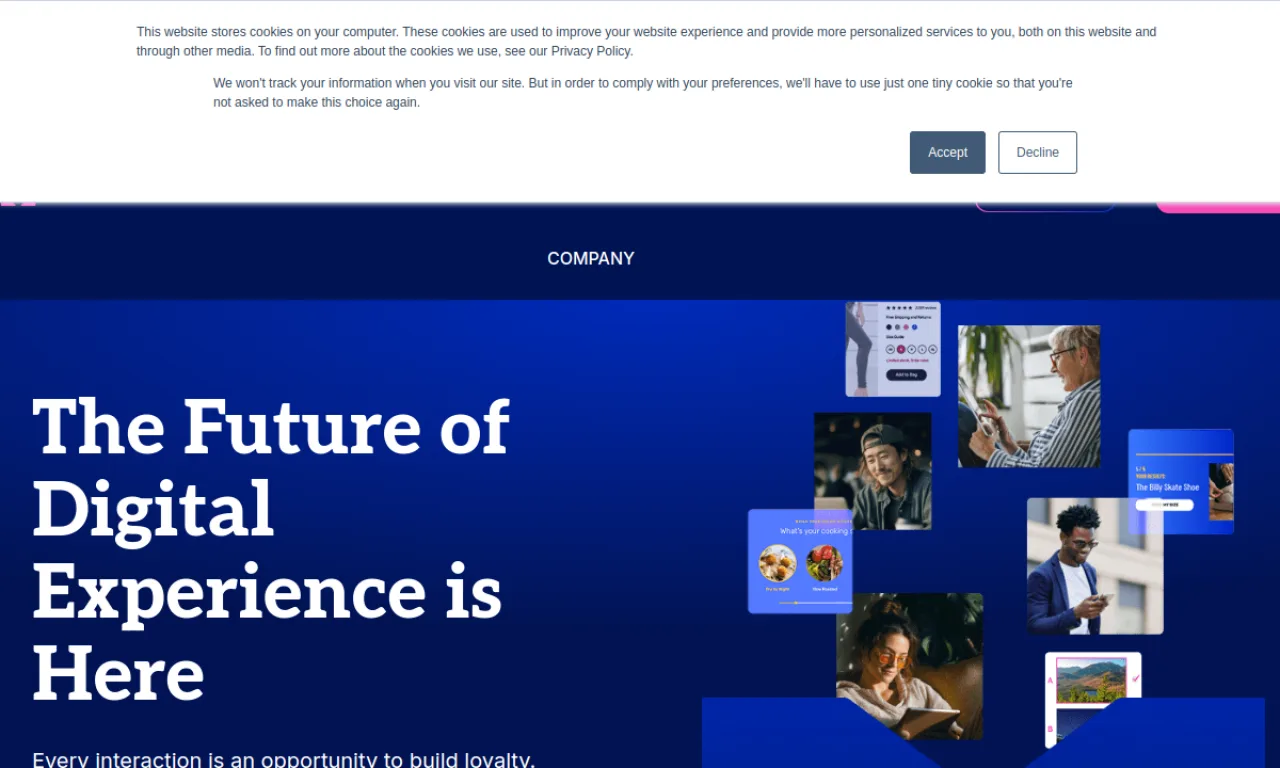Screenshot of Monetate website