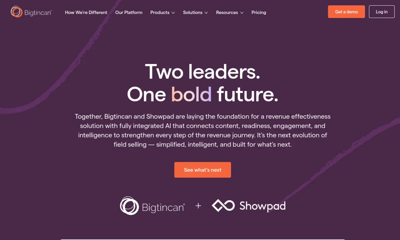 Screenshot of Bigtincan website