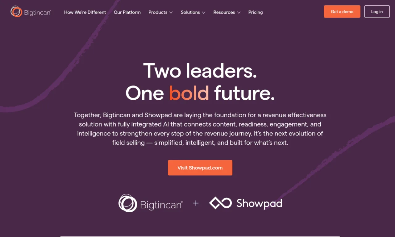 Screenshot of Bigtincan website