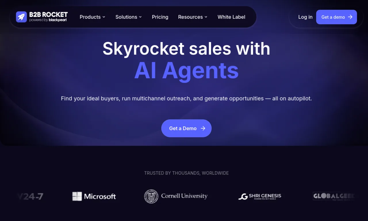 Screenshot of Antbot / B2B Rocket website