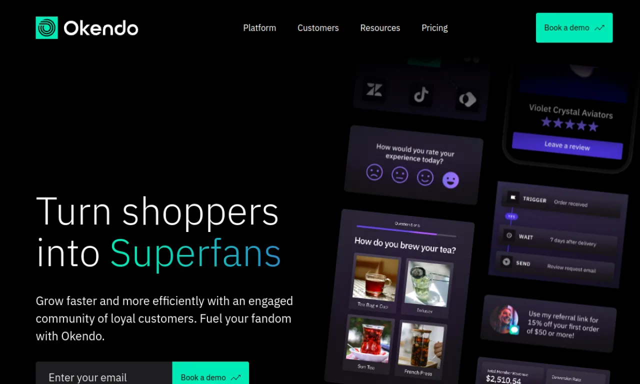 Screenshot of Okendo website